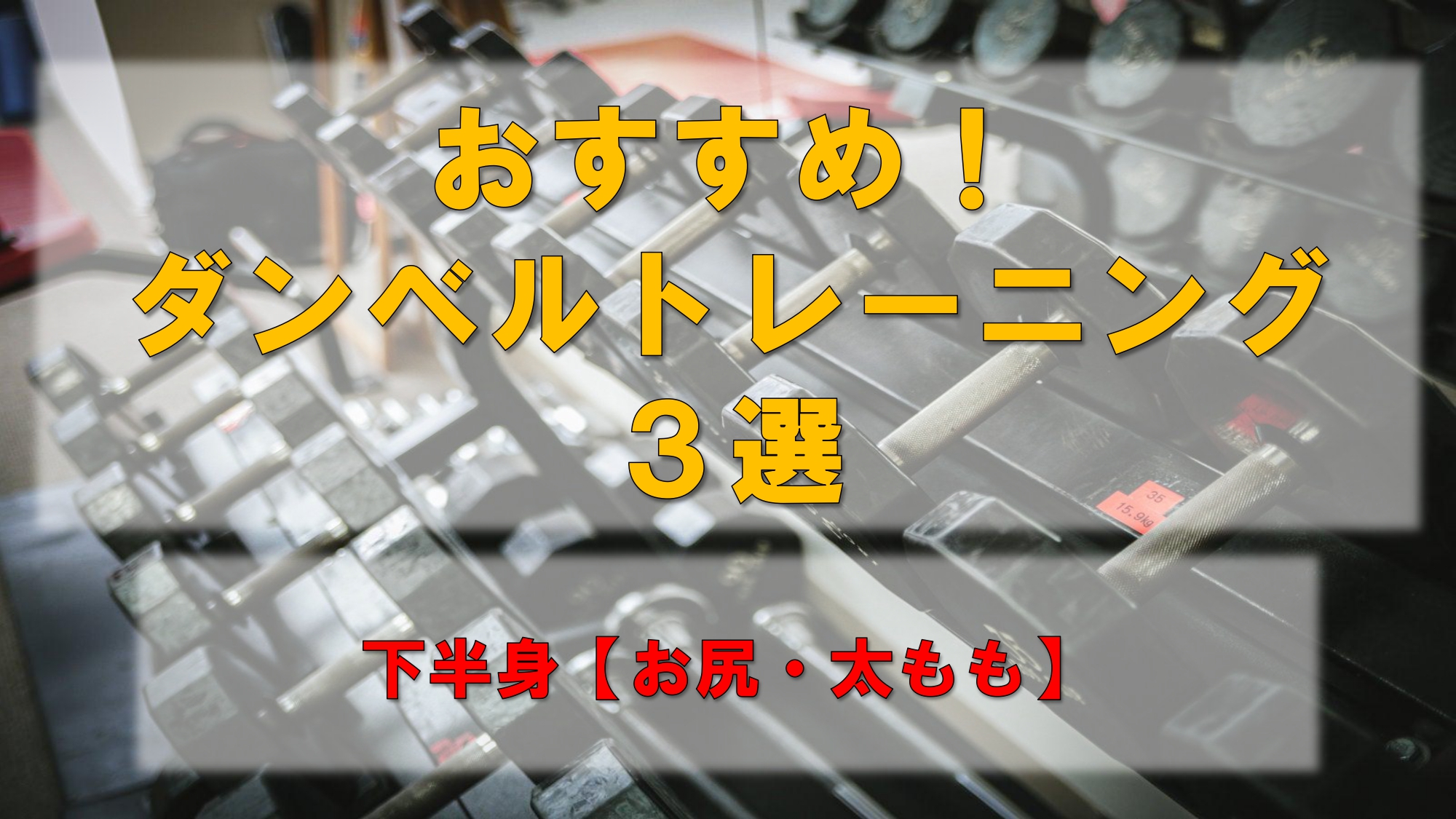 コラム