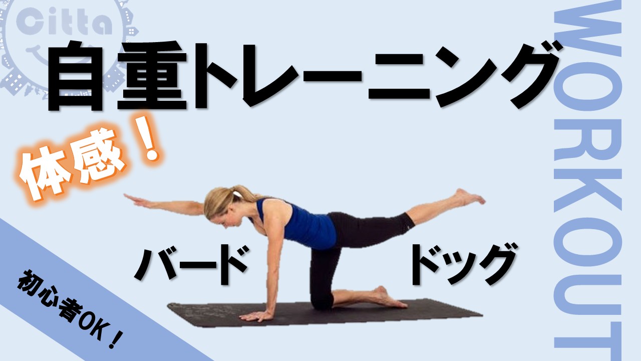 資料サムネイル